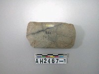 藏品(中型磨製石錛)的圖片